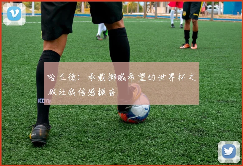 哈兰德：承载挪威希望的世界杯之旅让我倍感振奋