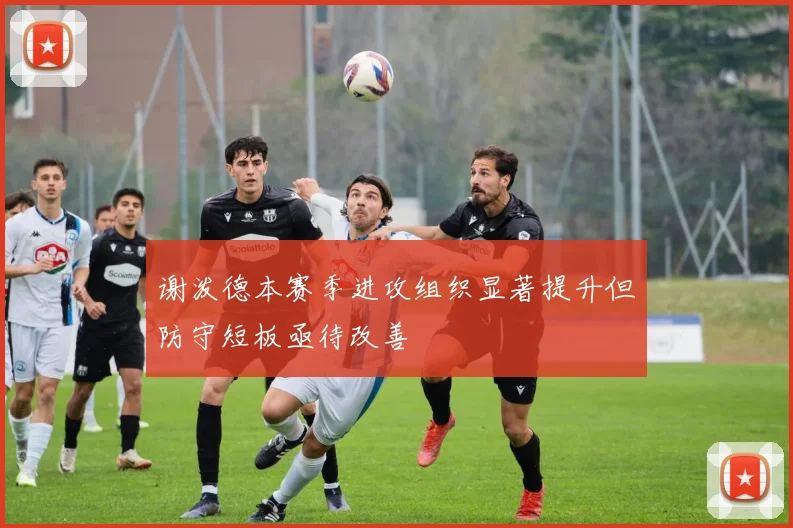 谢泼德本赛季进攻组织显著提升但防守短板亟待改善